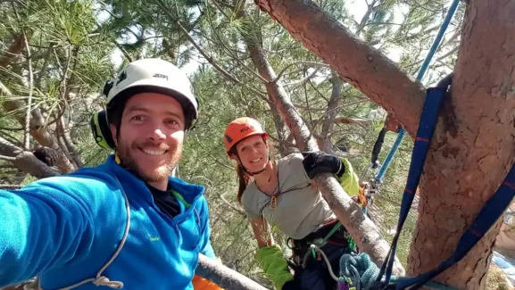 deux élagueurs dans un arbre deux élagueurs dans un arbre